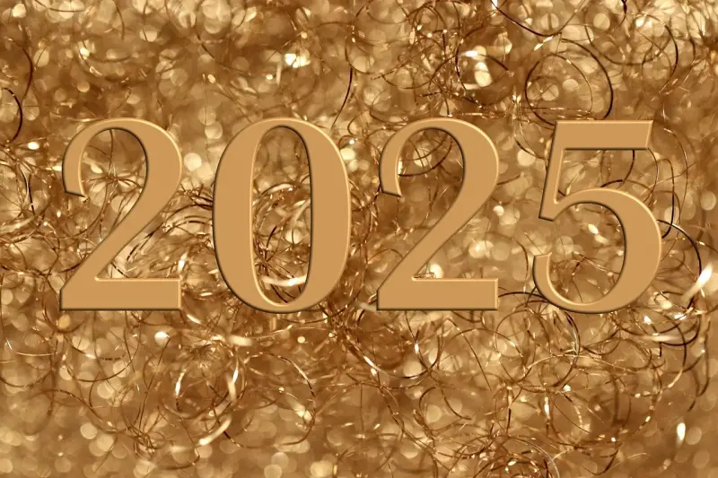new_years_day_9165860_1280.webp